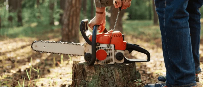 Tree Cutting Solutions for Overgrown Trees