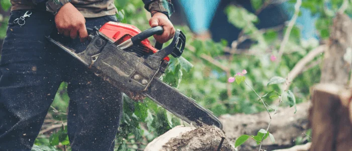 Tree Cutting