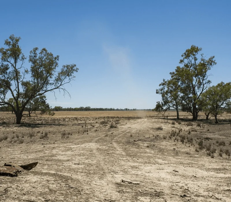 Why Choose Us for Land Clearing